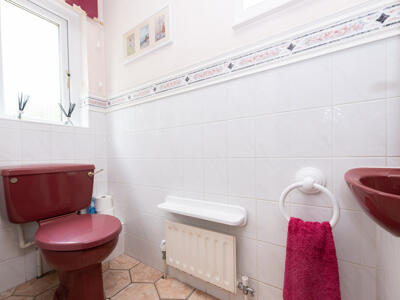 Picture 13